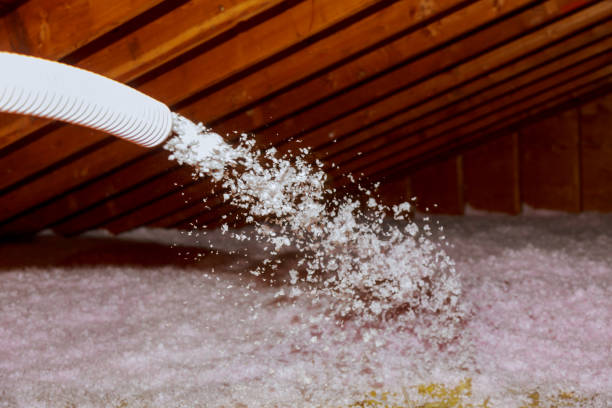 Best Insulation Contractors for Homes  in Burns Harbor, IN