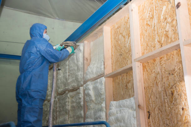 Best Affordable Insulation Services  in Burns Harbor, IN